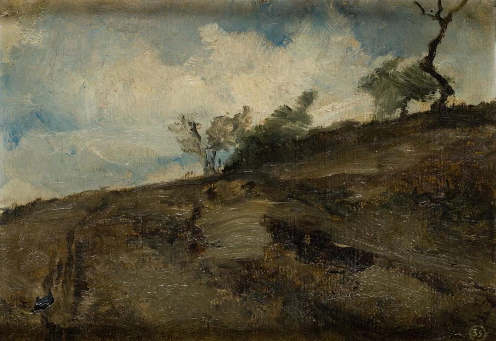 Paesaggio montano con un albero secco
